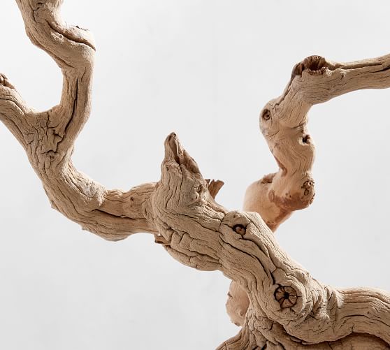 Dried Grapewood Branch | Pottery Barn (US)