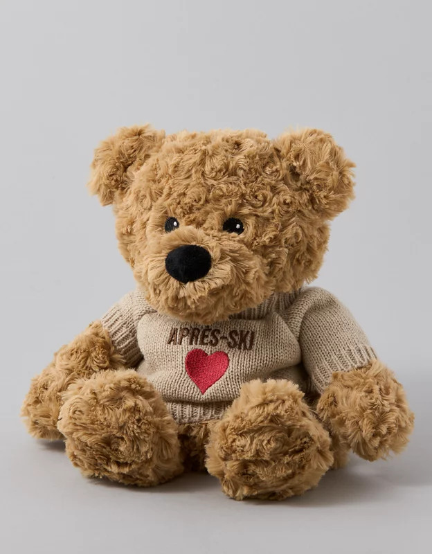 Warmies Teddy Bear | American Eagle Outfitters (US & CA)