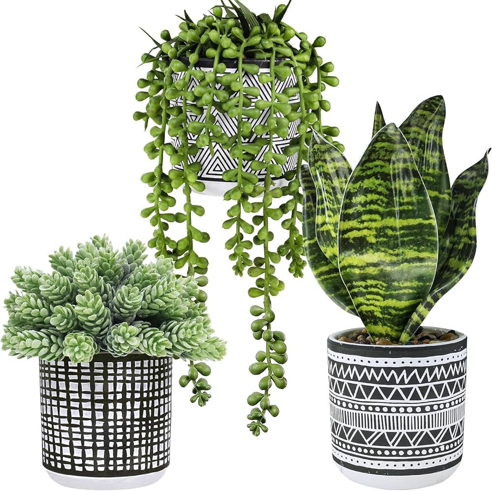 Winlyn 3 Pcs Small Potted Plants Artificial Succulents Hanging Plants and Faux Tropical Snake Pla... | Amazon (US)