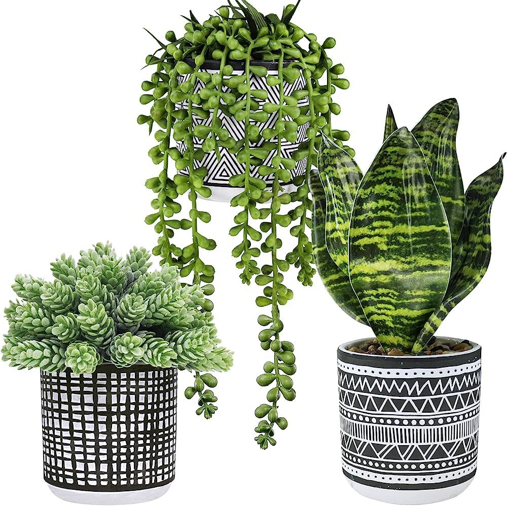 Winlyn 3 Pcs Small Potted Plants Artificial Succulents Hanging Plants and Faux Tropical Snake Pla... | Amazon (US)