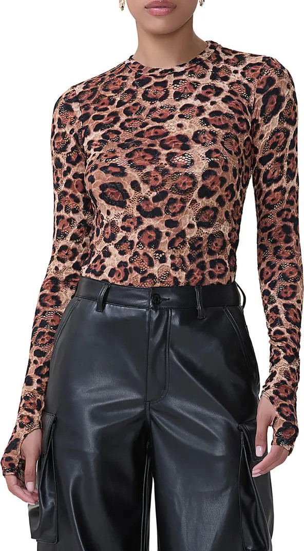 Kaylee Print Lace Top | Nordstrom