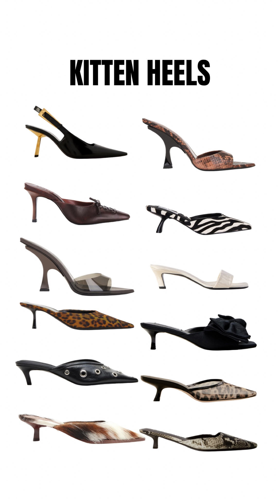 Fall 2024 Shoe Trend: Kitten Heels! Shop some chic ones that I found! ✨

#LTKSeasonal #LTKShoeCrush #LTKStyleTip