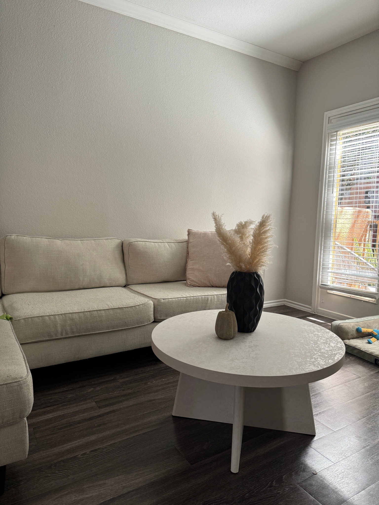 My coffee table ✨☕️

#LTKFallSale #LTKFamily #LTKVideo