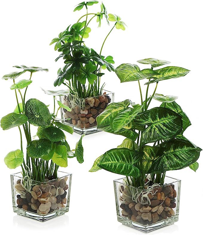MyGift Set of 3 Artificial Plants, Faux Tabletop Greenery w/Clear Glass Pots | Amazon (US)