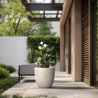 18 in. Large Light Gray Concrete Round  Planter / Pot with Drainage Holes | The Home Depot