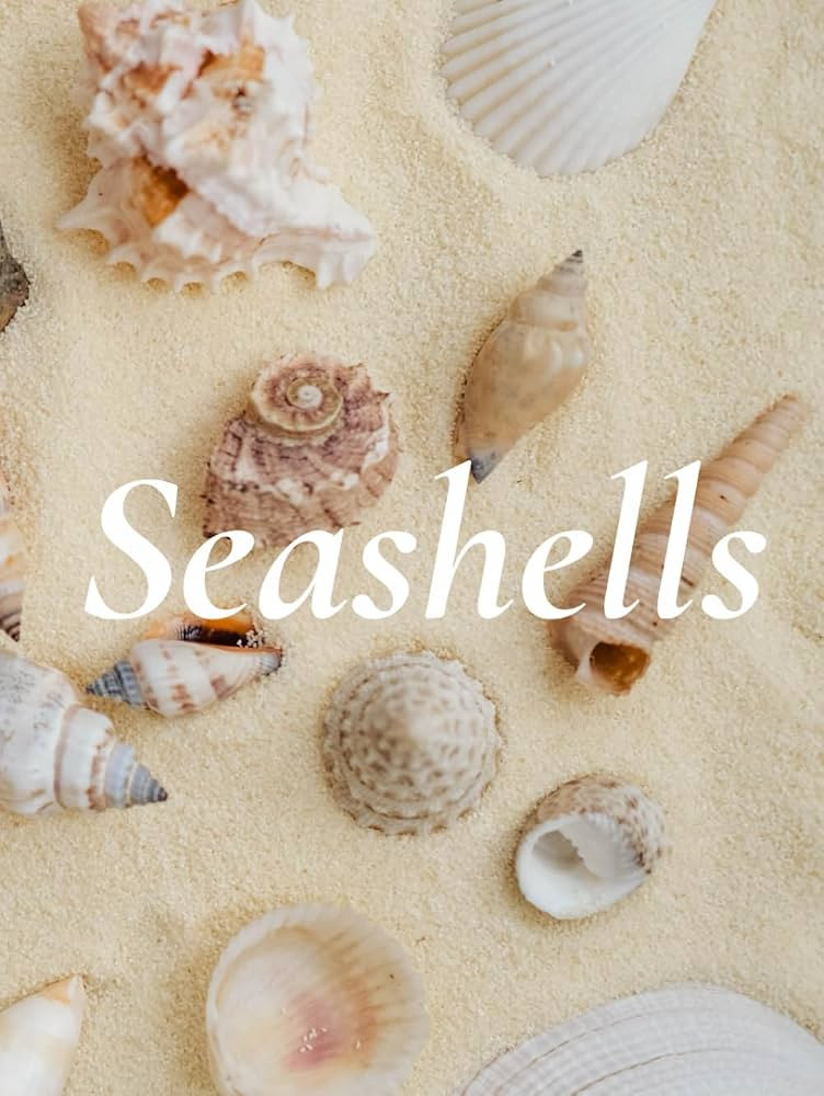 Seashells: A Decorative Book with Seashell Cover for Coffee Table Styling and Coastal Home D\u00e... | Amazon (US)