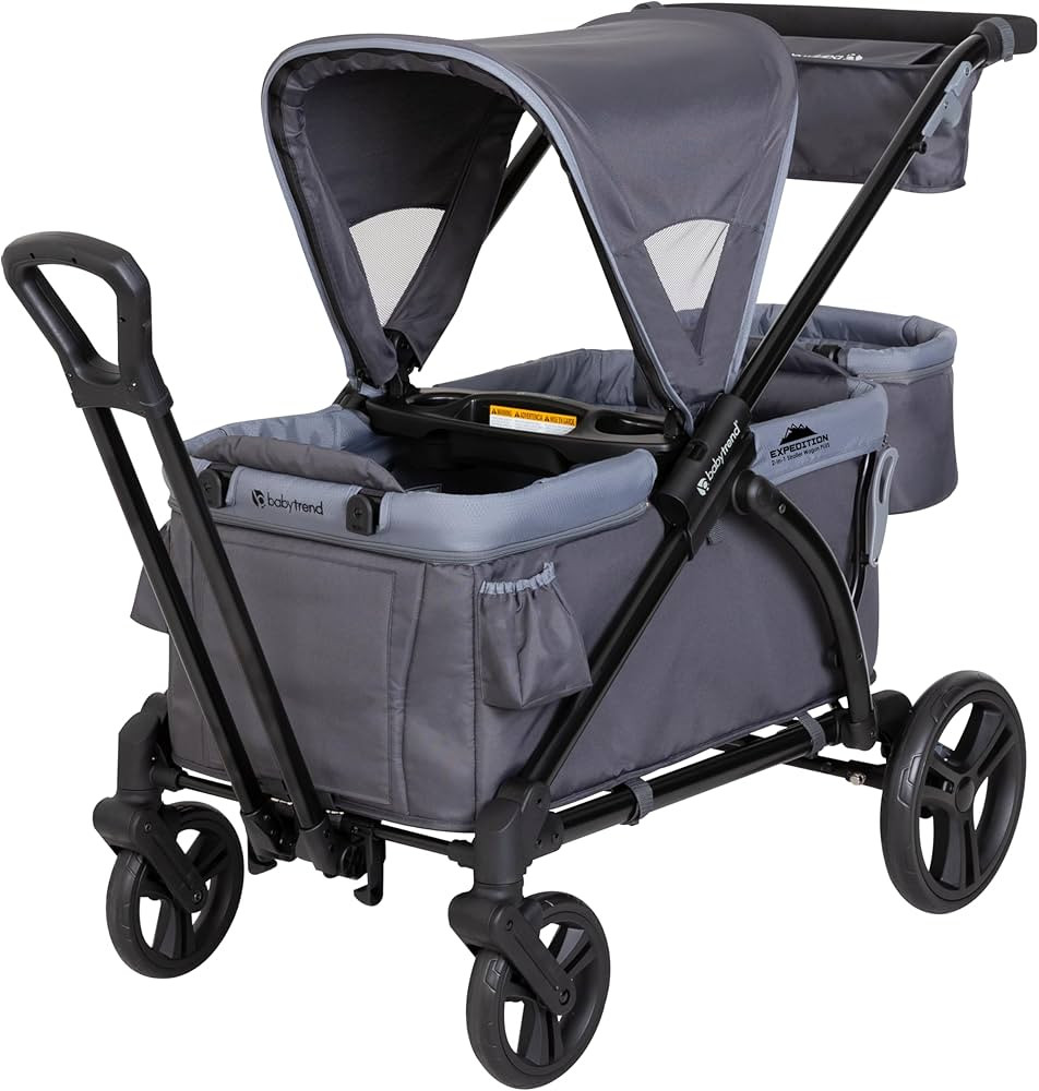 Baby Trend Expedition 2-in-1 Stroller Wagon PLUS, Ultra Grey | Amazon (US)