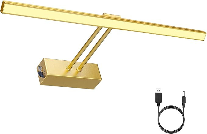 FUNCHDAY Picture Light,Wireless Picture Light,Full Metal Rotatable Art Light with Dimmable,16" Pi... | Amazon (US)