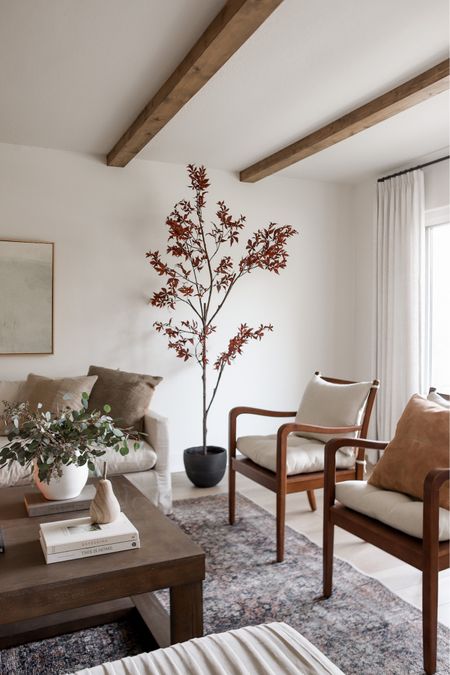 Shop our fall living room, including this gorgeous fall tree! These chairs are no longer available so I linked similar options :)

#LTKSeasonal #LTKhome