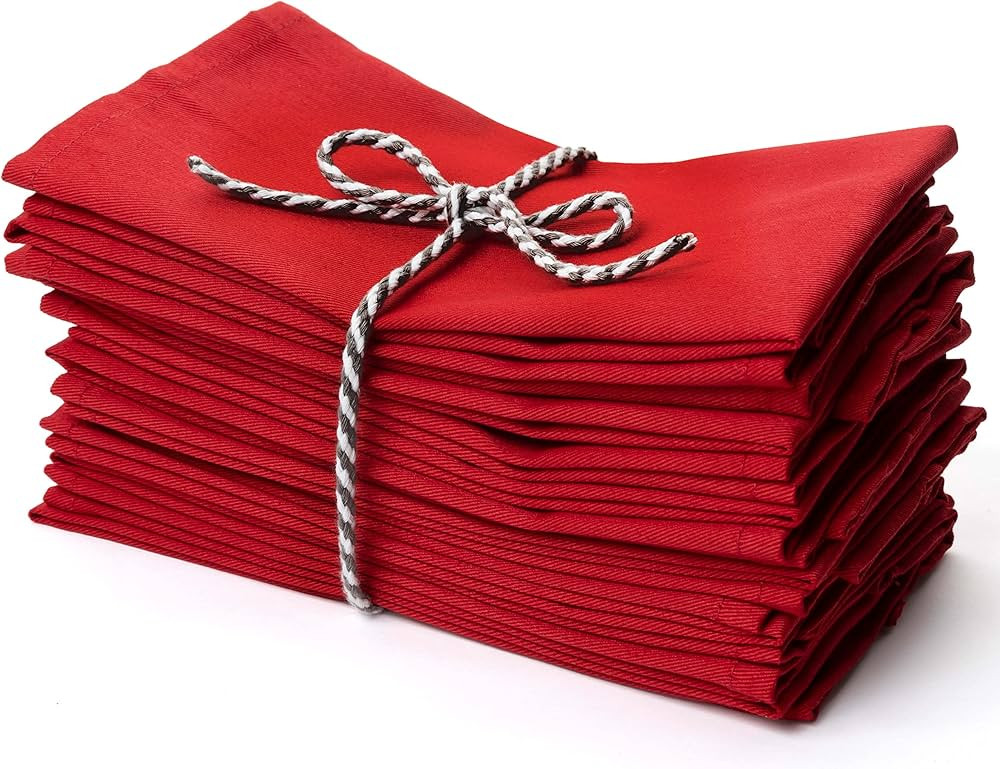 Christmas Red Cloth Dinner Napkins Kitchen Cloth Napkins 12 Pack 18X18 Inches Cotton Blend Soft F... | Amazon (US)