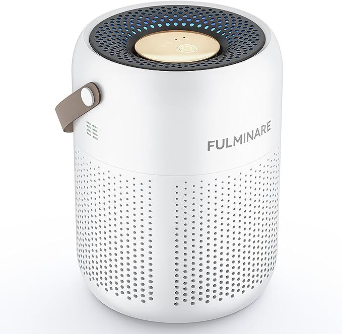 FULMINARE Air Purifiers for Bedroom, H13 True HEPA Air Purifiers for Home, Pets, Office, Portable... | Amazon (US)