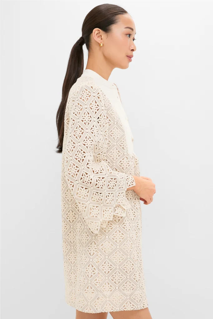 Tan Diamond Lace Mini Calliope Dress | Tuckernuck (US)