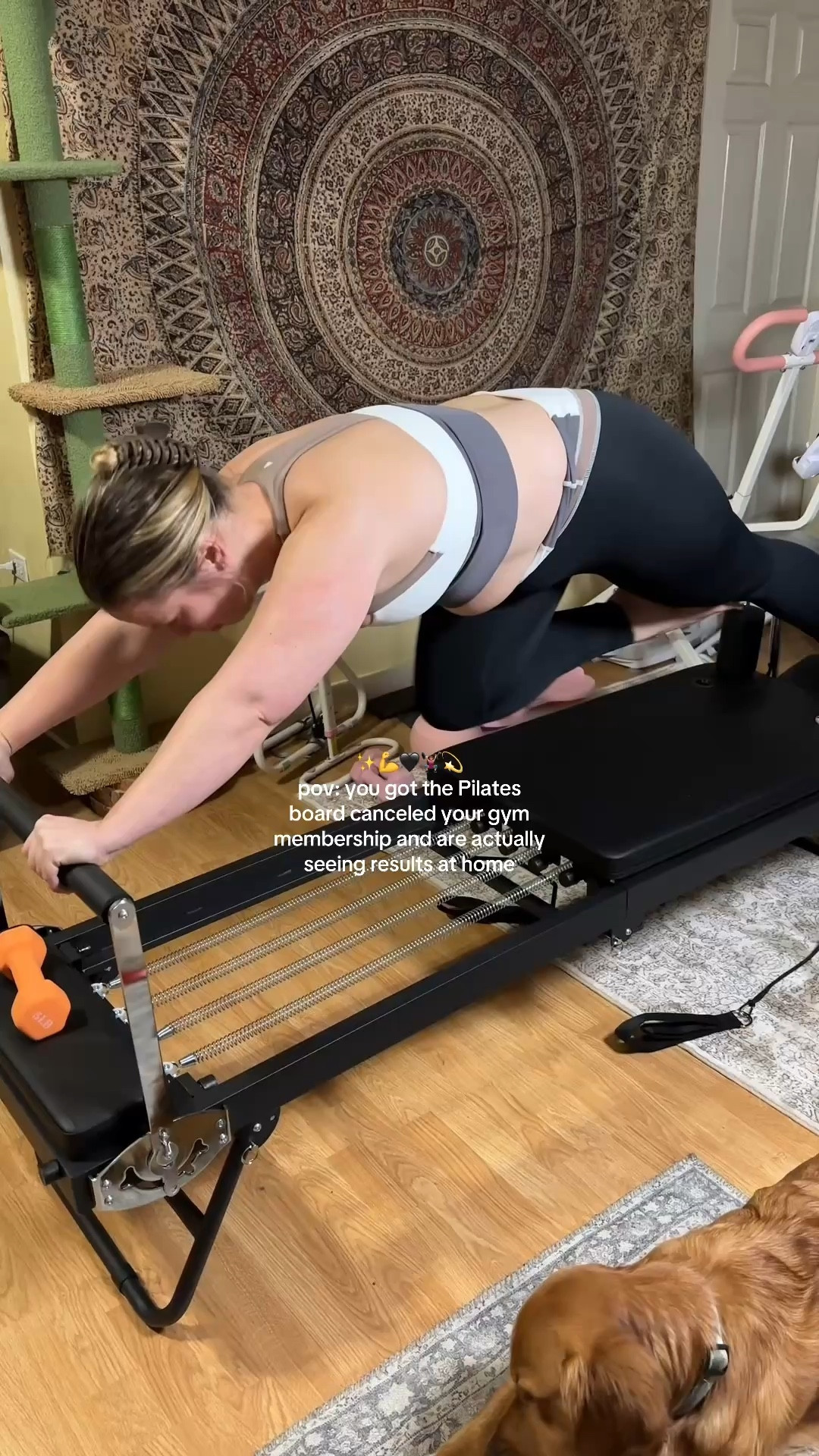 only regret is not getting it sooner 💫

#LTKfitnessgoals #LTKSaleAlert #LTKselfcare