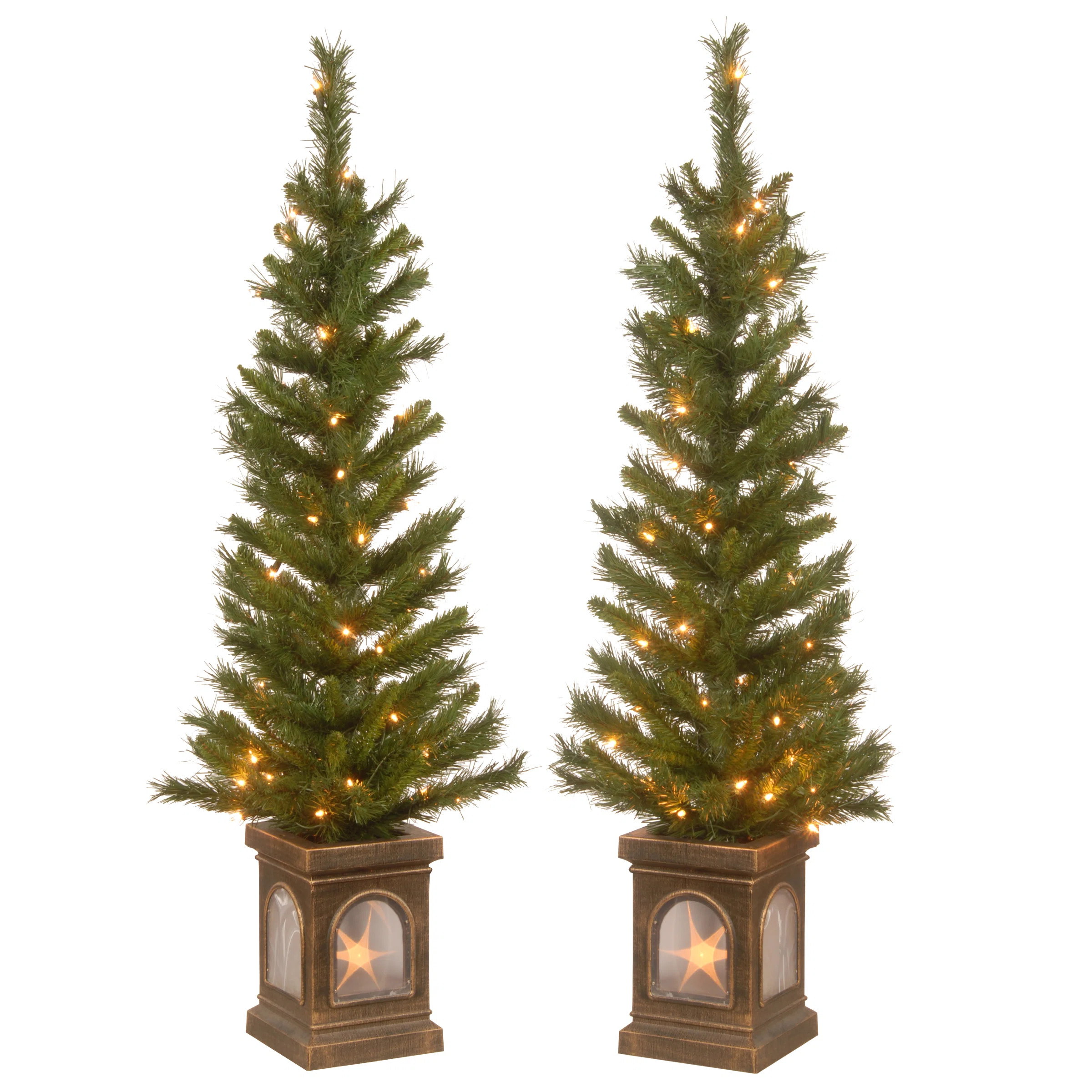 4ft. Lehigh Valley Pine Entrance Tree Set with Clear Lights | Wayfair North America