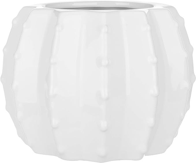 MyGift 6-Inch White Ceramic Cactus-Shaped Planter Pot | Amazon (US)