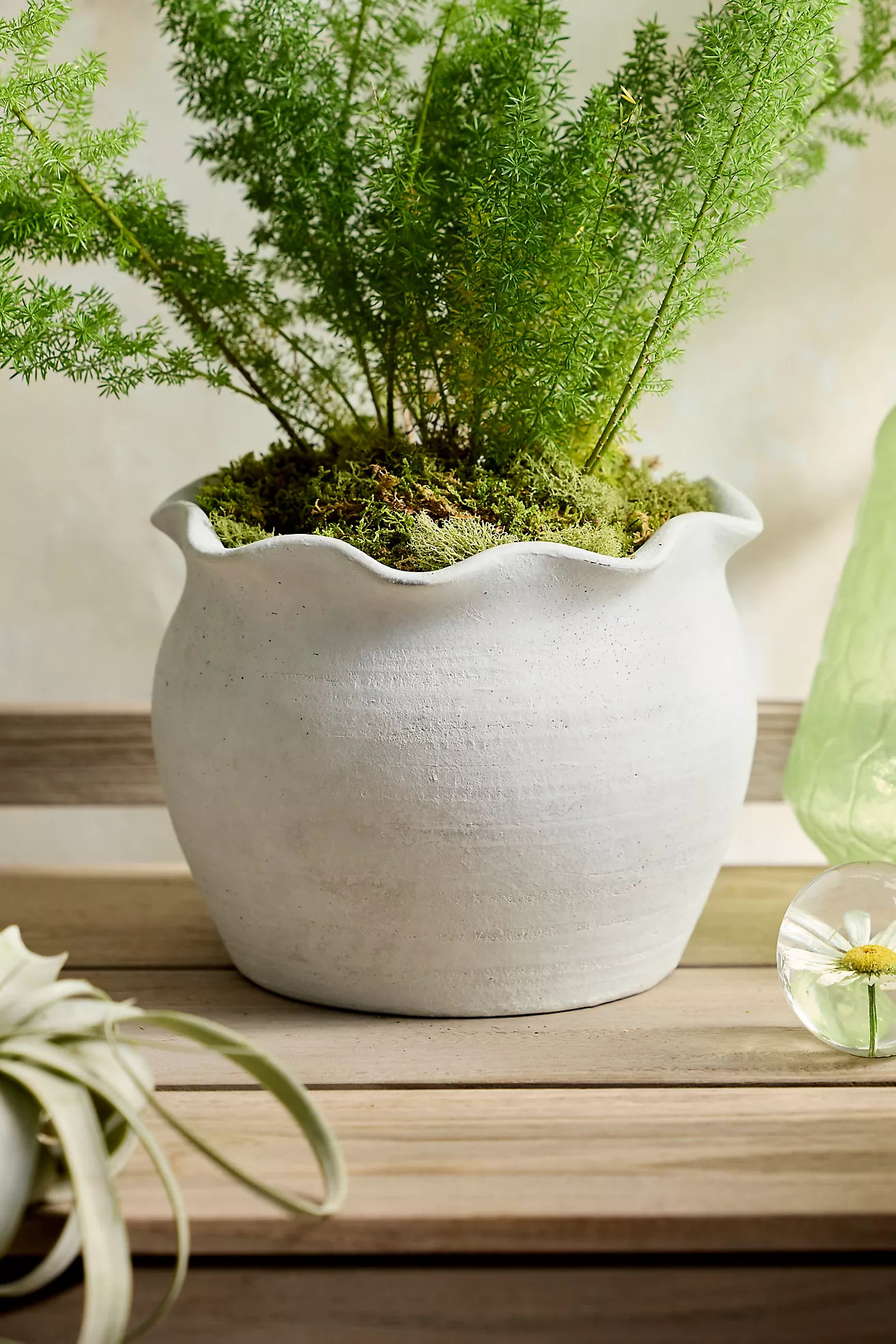 Terracotta Pie Crust Rim Planter, Round | Terrain