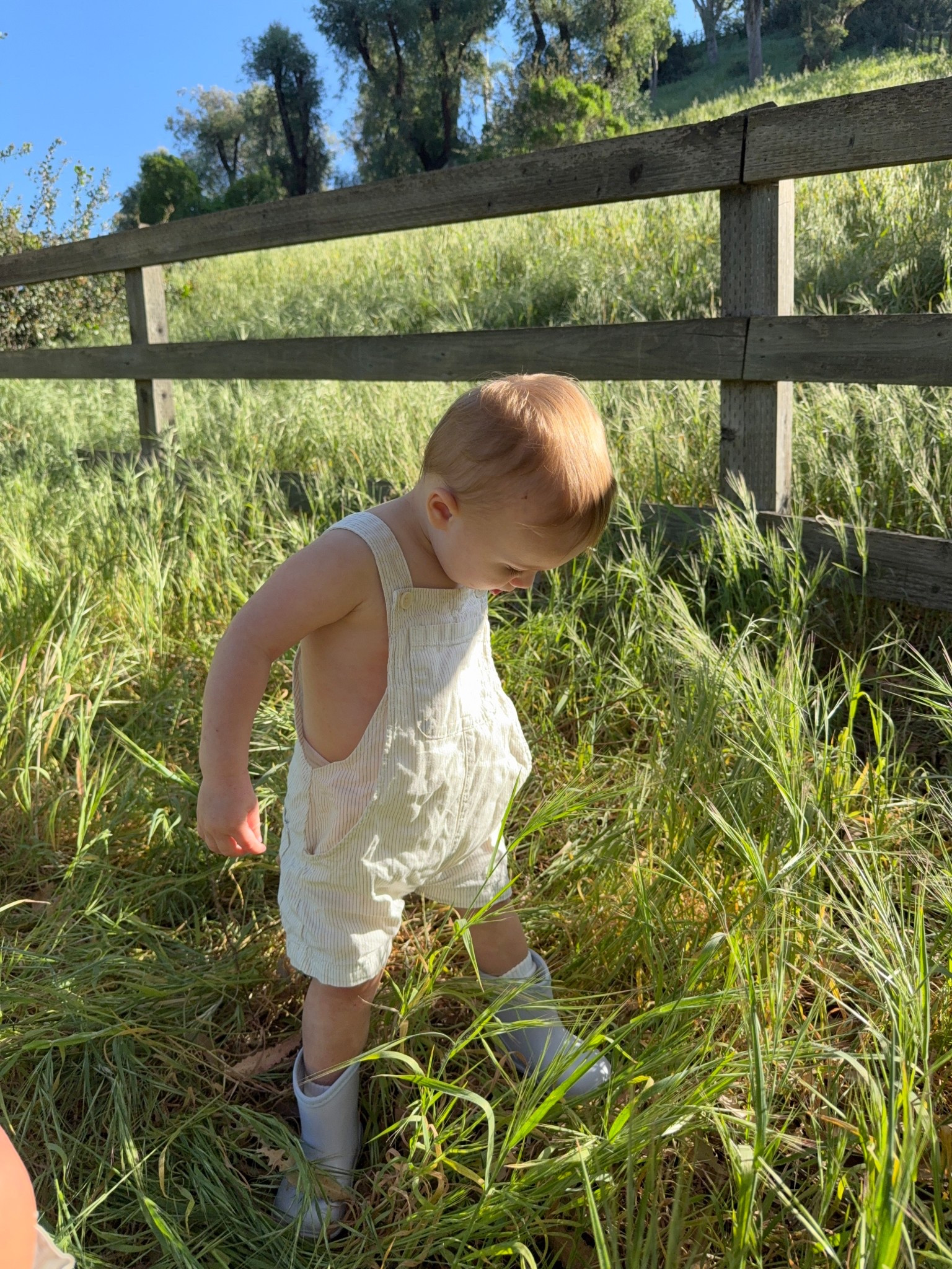 Baby boy outfit #babyshoes #toddler 

#LTKBaby #LTKKids #LTKSpringSale