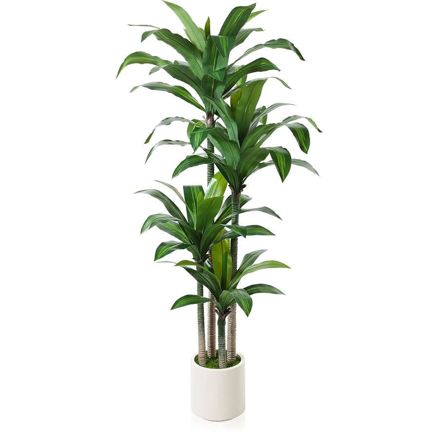 Artificial Dracaena Tree 6ft, Tall Fake Dracaena Plants with White Planter, Faux Dragon Tree Indo... | Amazon (US)