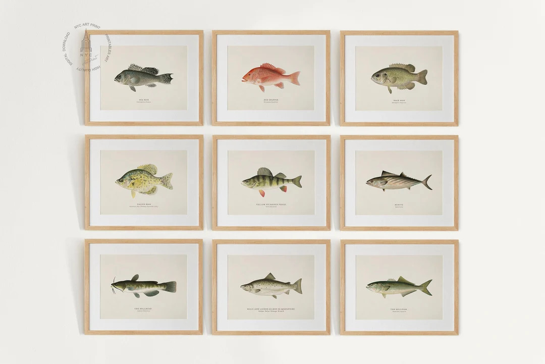 Vintage Fish Gallery Wall Set of 10, Fish Prints, Fish Painting, Coastal Decor, Fish Illustration... | Etsy (US)