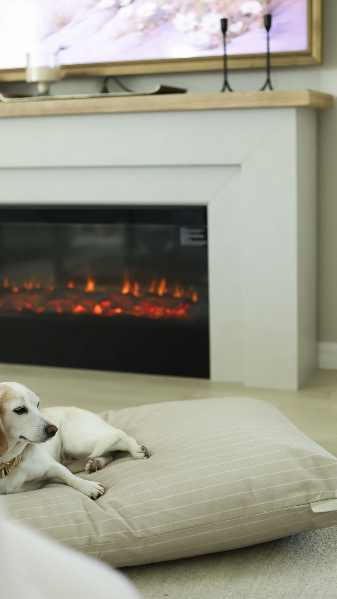 The @onprestonlane Brody Dog Bed in Clay is a game changer. It’s stylish, practical (zipper to remove insert), and affordable!

Follow @jameskatehome for more home decor ideas and finds! 

.
.
.
.
.
.
.
#dogstyle #homedecor #onprestonlane

#LTKHome
