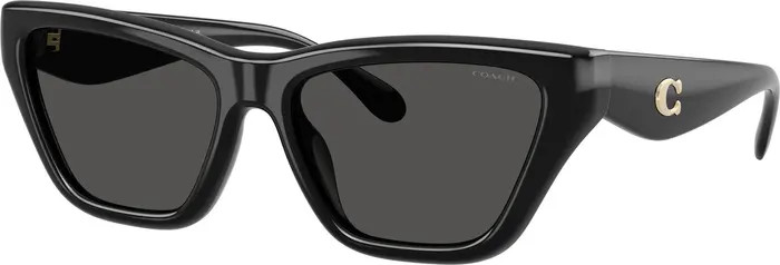 56mm Polarized Cat Eye Sunglasses | Nordstrom