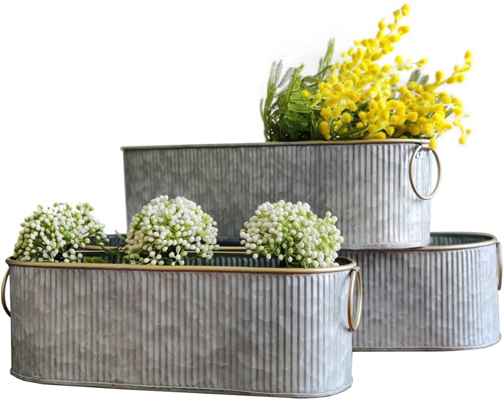 Dipamkar Set of 3 Vintage Long Oval Galvanized Metal Garden Trough Planters Windowsill Box Herb P... | Amazon (UK)