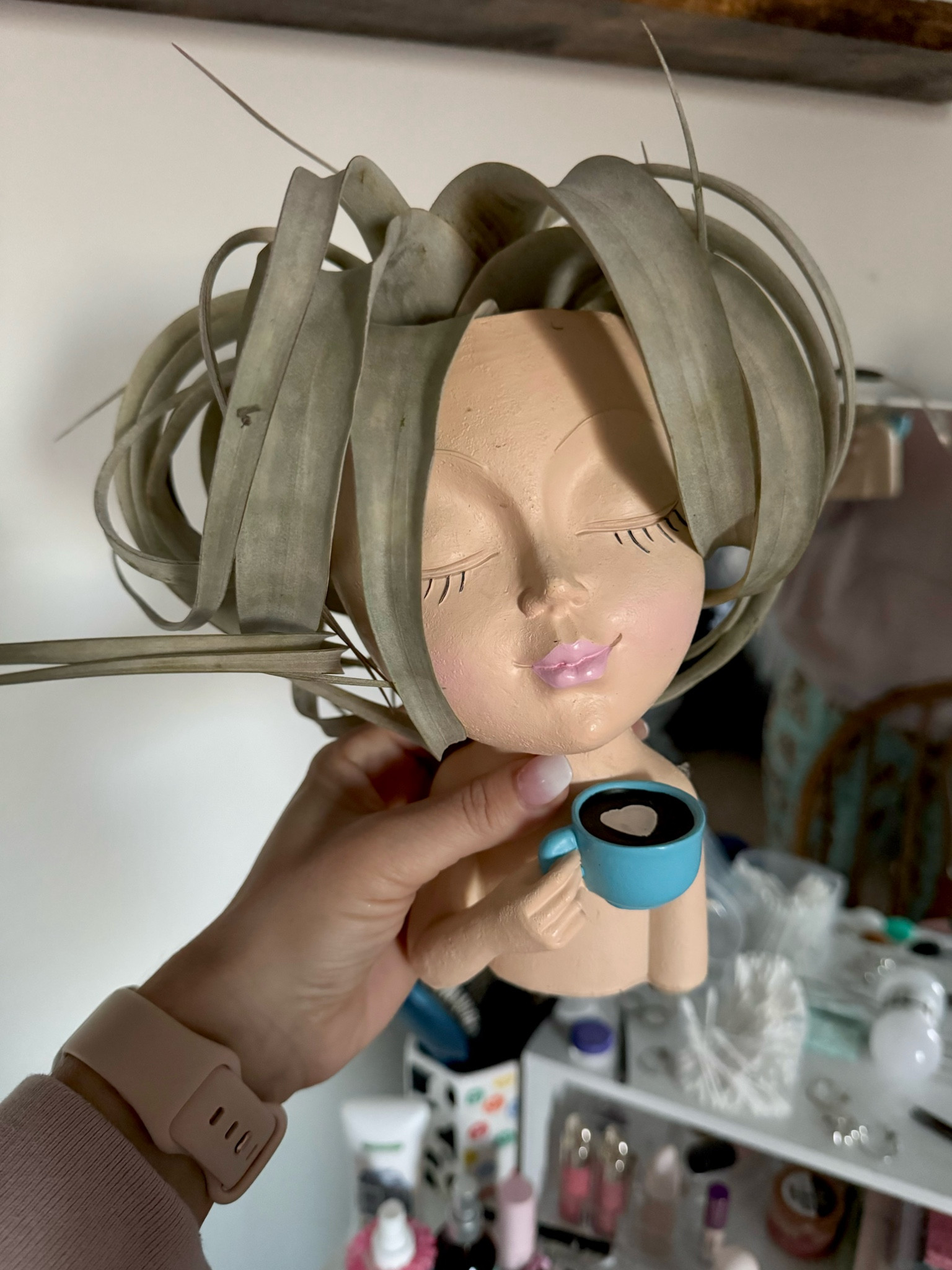 Large Air Plant in adorable planter!

#LTKfindsunder50 #LTKU #LTKhome