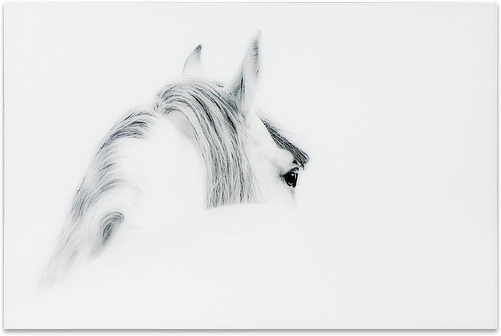 Empire Art Direct Blanco Mare Horse Frameless Free Floating Tempered Glass Panel Graphic Wall Art... | Amazon (US)