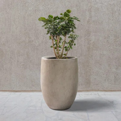 Concrete Tall Planter, 21.7inH Large Outdoor Indoor Planters, Decorative Pots with Drainage Holes, Modern Round Taper Style for Home and Garden | Wayfair North America