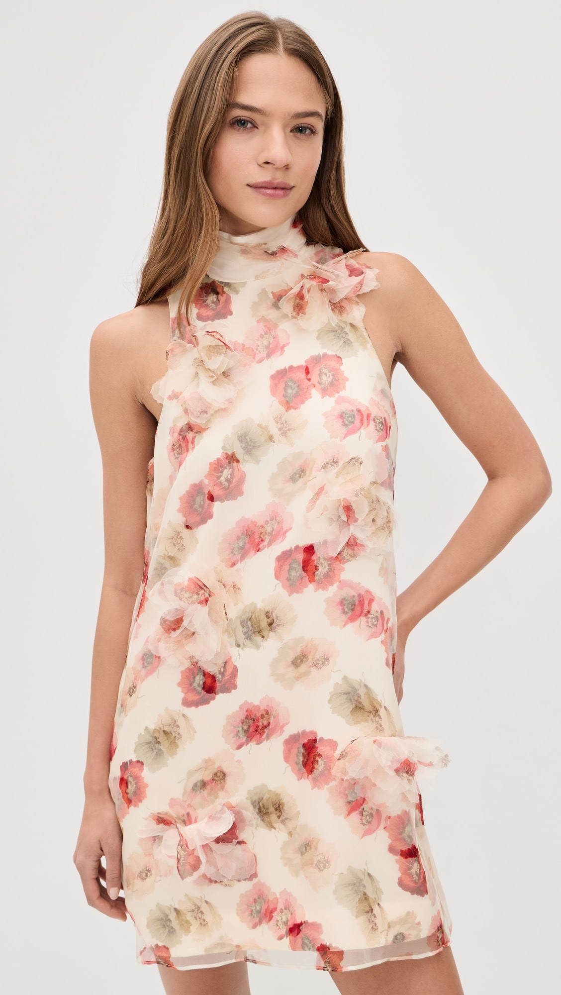 Floating Poppies Sylvia Dress | Shopbop