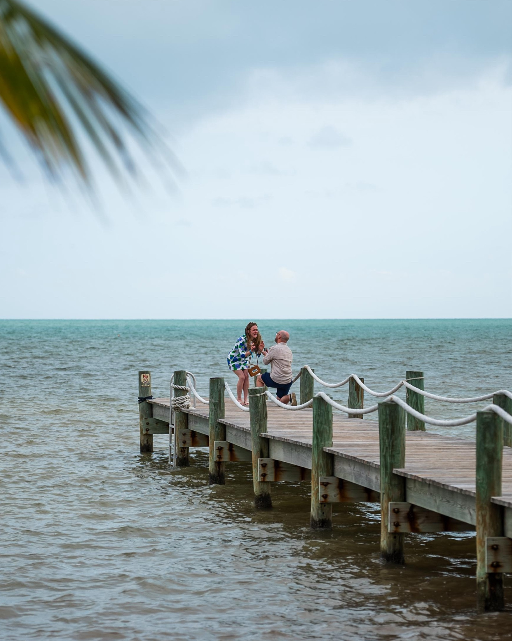 The Proposal 🤍

#LTKWedding