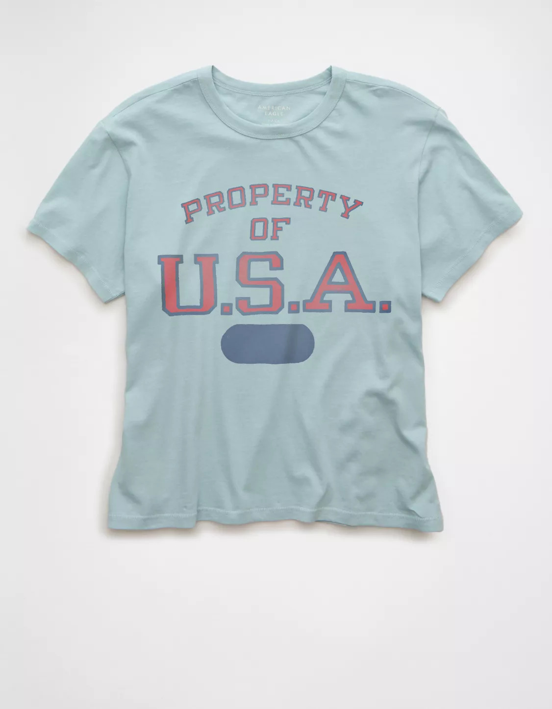 AE Ex-Boyfriend USA Graphic T-Shirt | American Eagle Outfitters (US & CA)