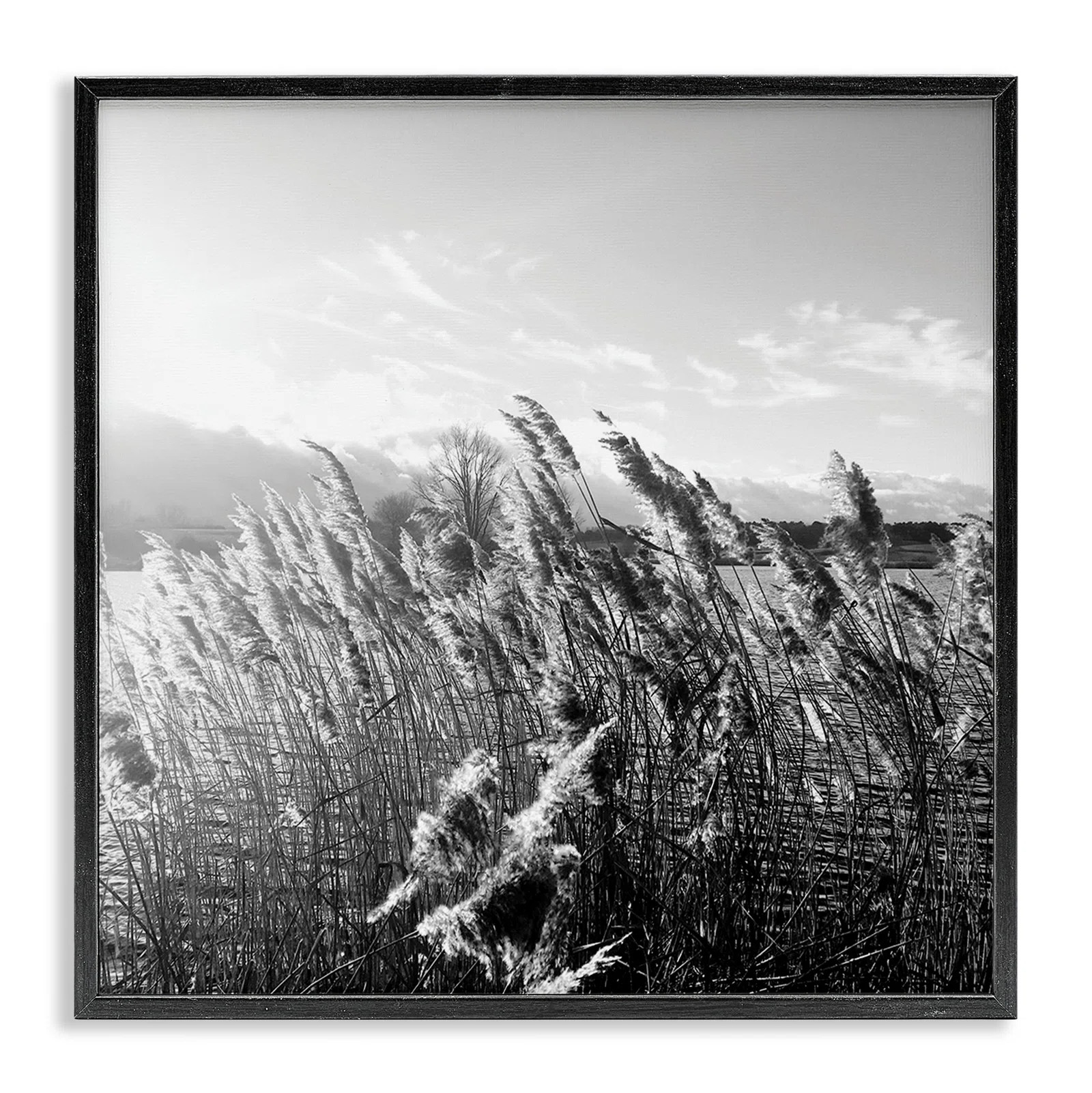 Tall Grass Lake Water Landscape by Sarah Jane - Photograph | Wayfair North America