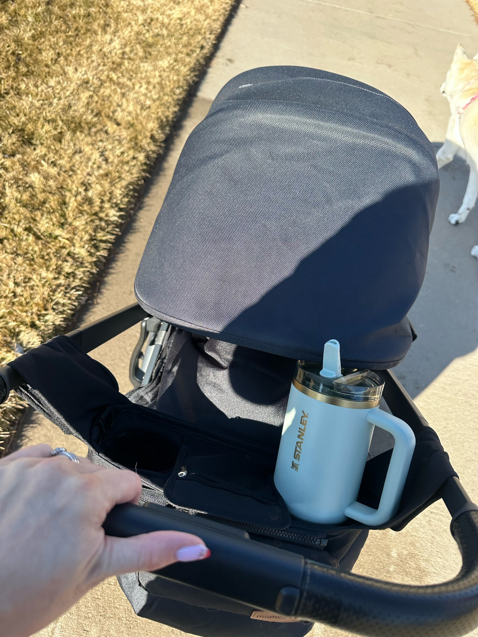 A few random mom stroller essentials ✨

#LTKGiftGuide #LTKHome #LTKActive