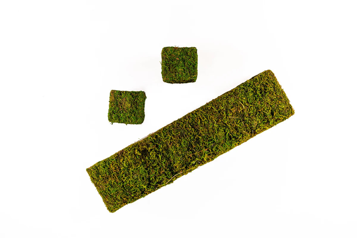 Secret Garden | Casamia