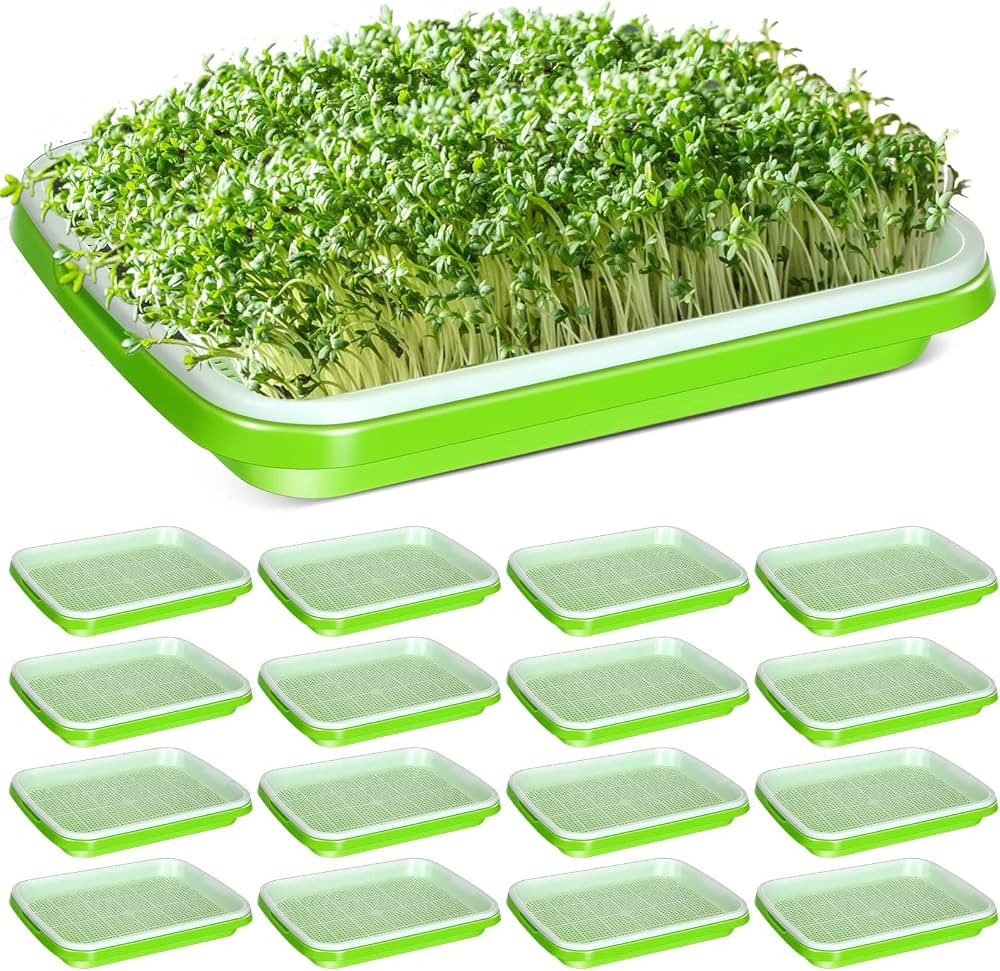 16 Pcs Seed Sprouter Tray with Drain Holes Nursery Tray Seed Germination Propagation Trays Health... | Amazon (US)