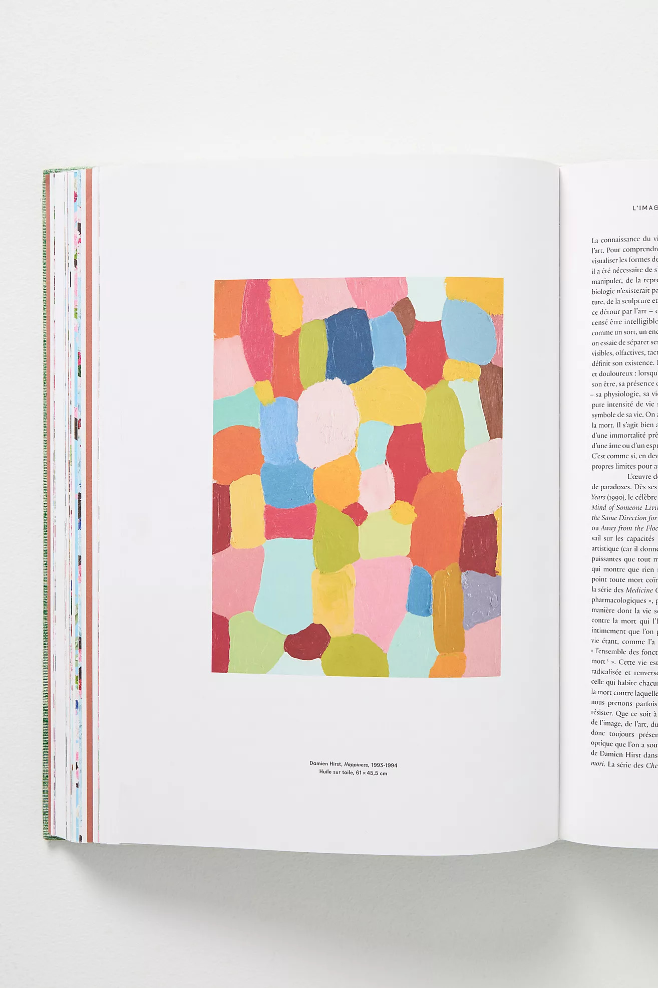 Damien Hirst: Cerisiers En Fleurs | Anthropologie (US)