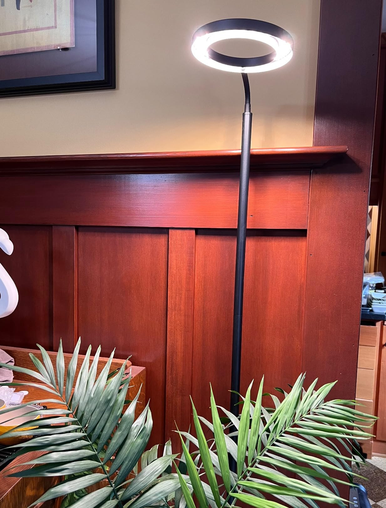 MistyJungle Grow Light for Indoor Plant, Full Spectrum Dimmable LED Halo Growing Lights with Stan... | Amazon (US)