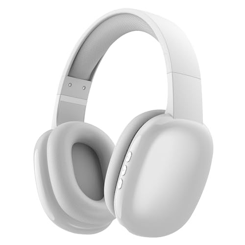 Gabba Goods Wireless Over Ear Bluetooth Headphones with Microphone - Wireless Headset -Noise Reduction - Bluetooth, Wired,Built in Micro SD for Travel, Home, Work TV,PC,Gaming,Cellphone (Silver) | Amazon (US)