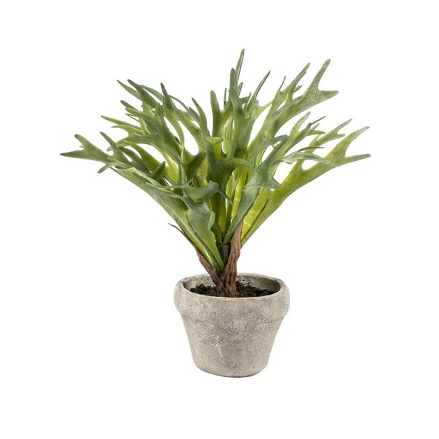 11" Artificial Dark Green Potted Staghorn | Riverbend Home