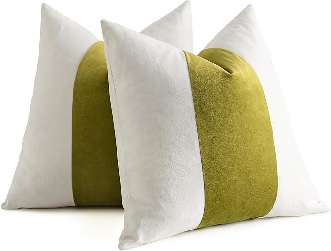 AmHoo Pack of 2 Velvet Panel Cotton Pillow Covers Decorative Pillowcase Cushion for Couch Sofa Be... | Amazon (US)