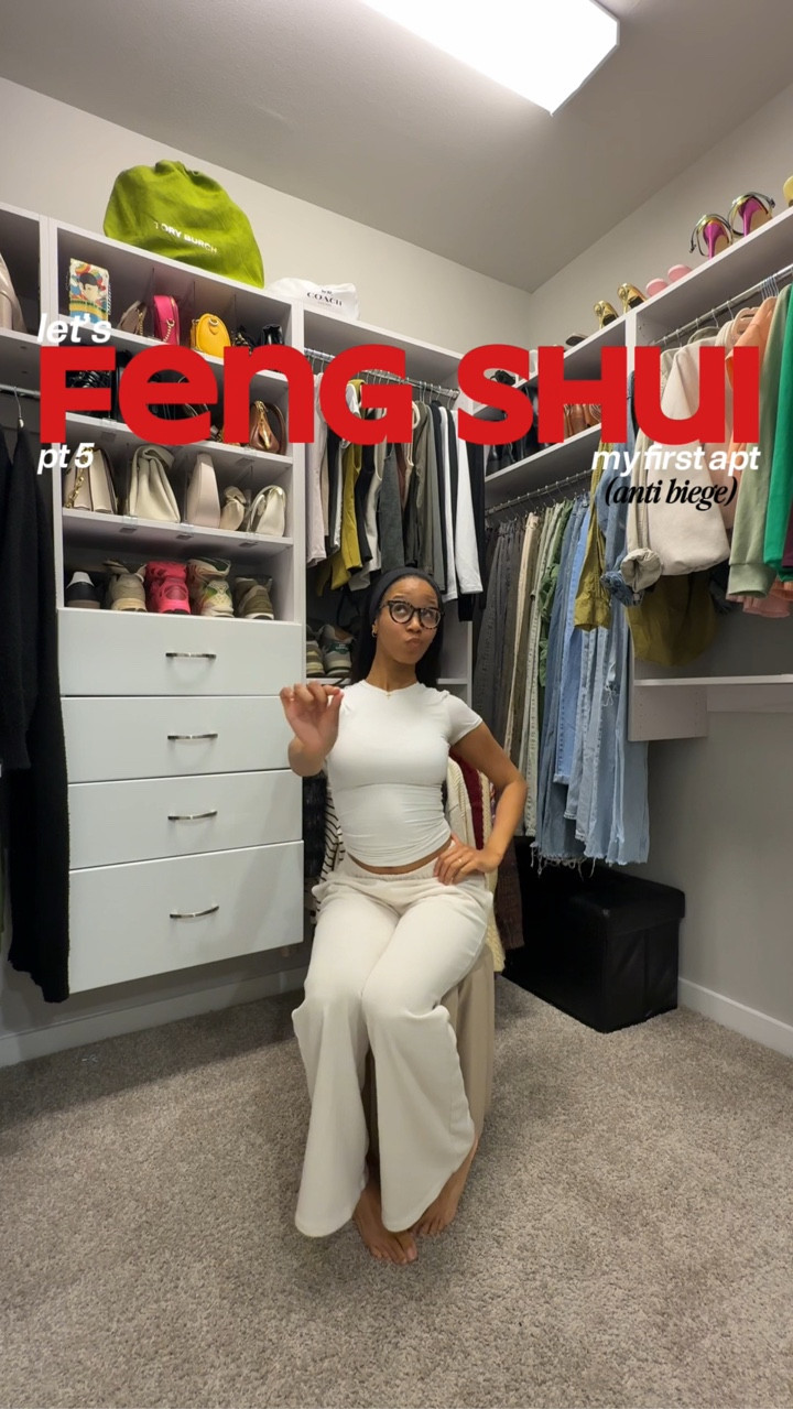 living my childhood dream now 🥹 

if you are “type a” like me, you understand how everything needs to be organized 🫡

comment closet if you want the link to anything and tell me if i pull the hannah montana vibe off! 

this just feels so right LOL 

•

#apartmentliving #apartmentdecor #homedecors #closetorganization #closetmakeover
