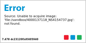 Large Seagrass Hamper With Lid And Zigzag Rope Handles | Marshalls