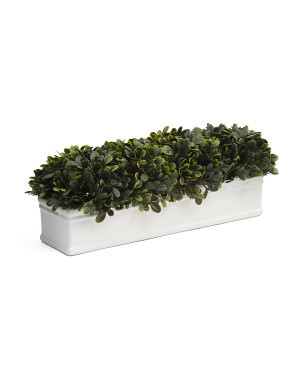 Topiary Ledge | Plants & Planters | Marshalls | Marshalls
