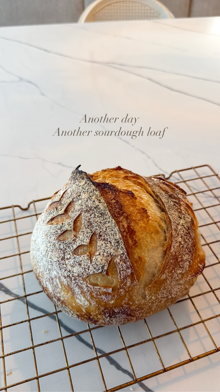 I've been so into baking sourdough lately it's like therapy!!!! Here’s all of our sourdough and bread baking MUST HAVES!!! 🥖👩🏻‍🍳

#amazonhome #bakingtherapy #thesistershoppers #amazonkitchen #amazongadget

#LTKfoodie #LTKHome #LTKdayinmylife