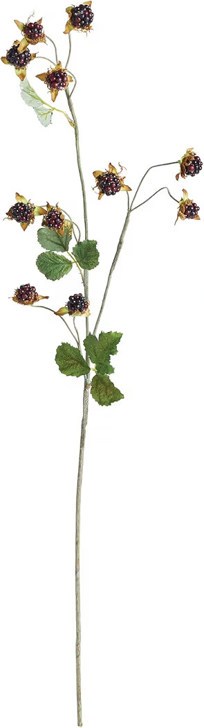 Napa Home & Garden Floral Collection-Wild BlackBerry Stem 31 inches | Amazon (US)