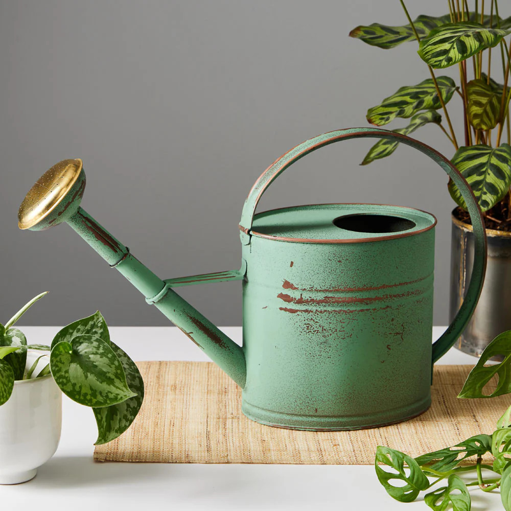 Antiqued 1-Gallon Copper Plated Watering Can | Garrett Wade