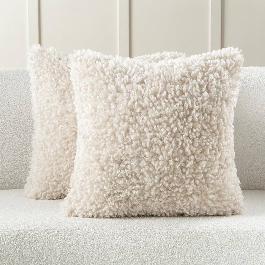 FUTEI Pack of 2 Decorative Throw Pillow Covers 24x24 Inch,Soft Fluffy Faux Wool Fur Boucle Textur... | Amazon (US)