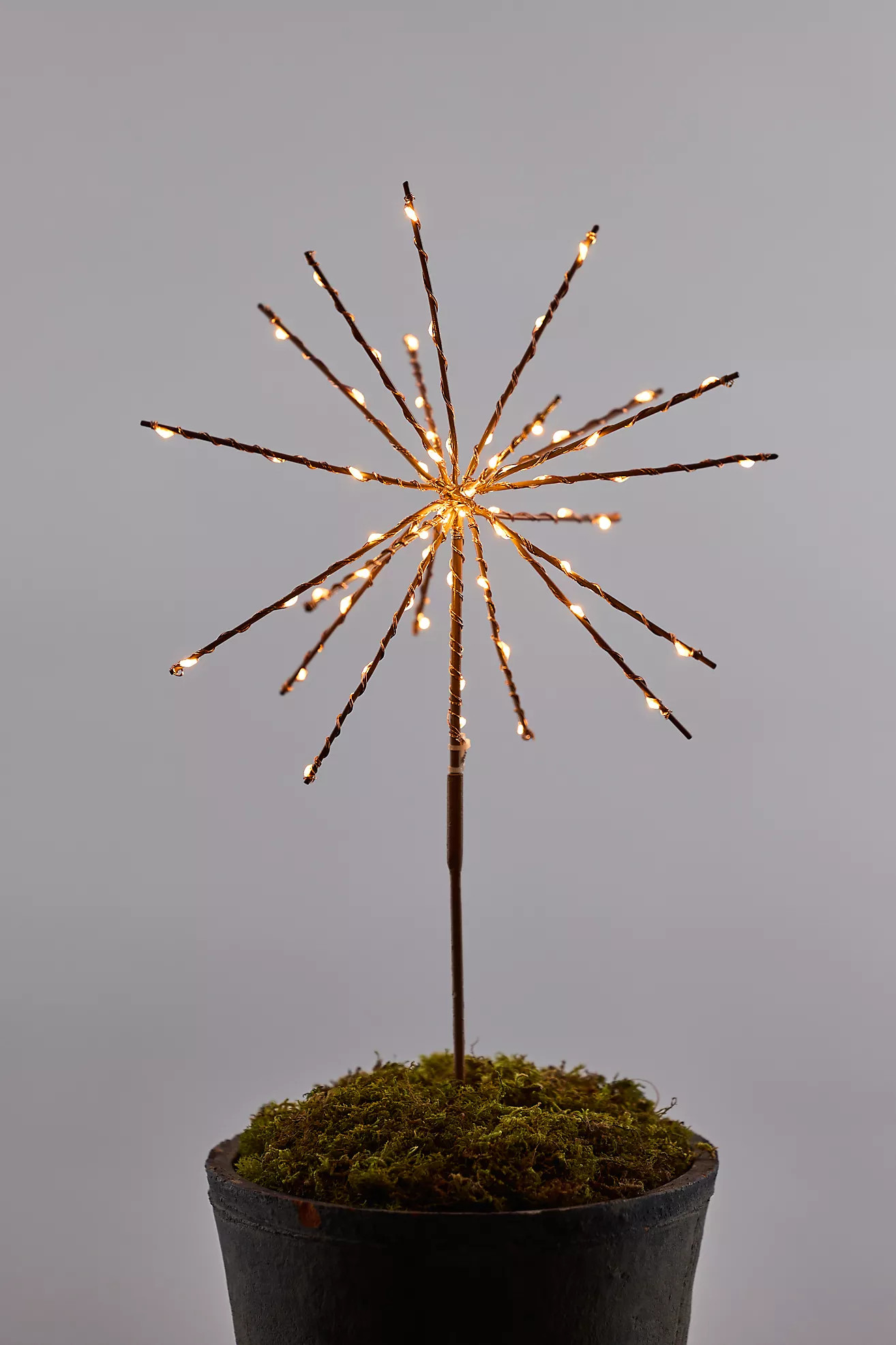 Stargazer Supernova Twinkling Stake Light | Anthropologie (US)