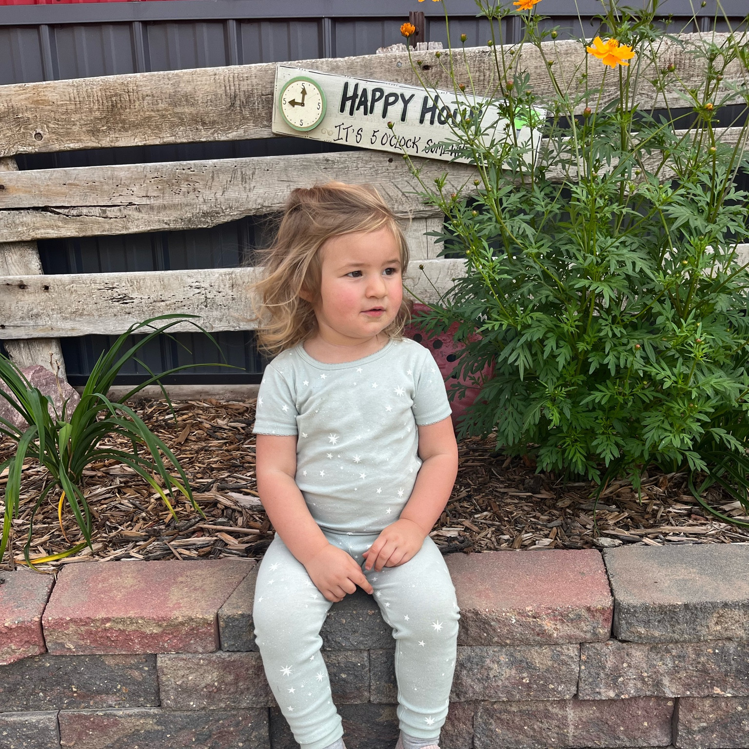 Comfy two piece pajama set in size 2T 

#LTKHoliday #LTKkids #LTKHalloween